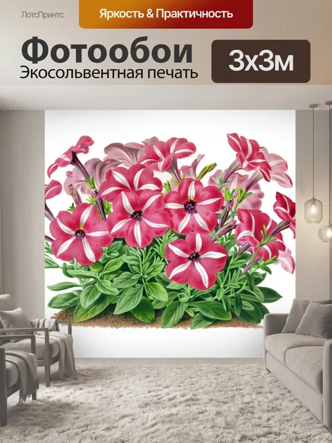 Фотообои Петуния цветок старинное искусство