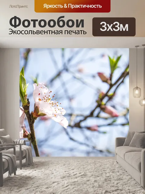 Фотообои Цветок