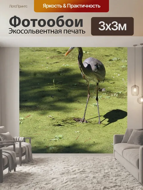 Фотообои Птица