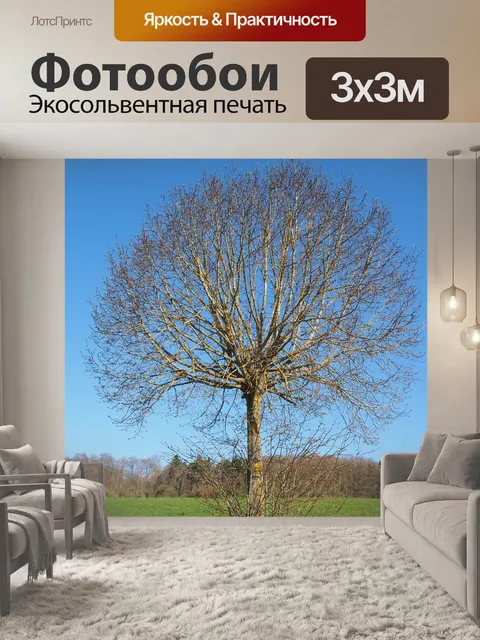 Фотообои Дерево