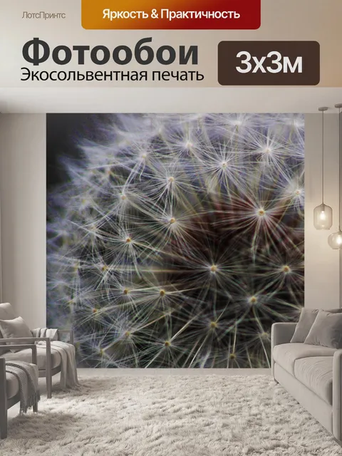 Фотообои Одуванчик