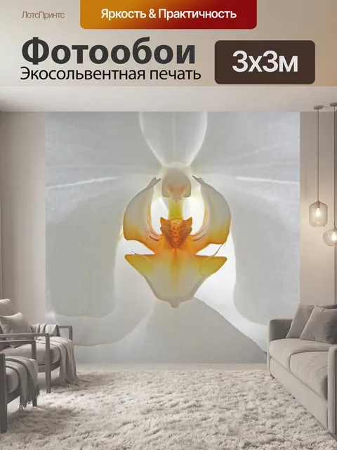 Фотообои Орхидея