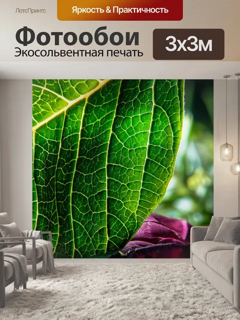 Фотообои Лист