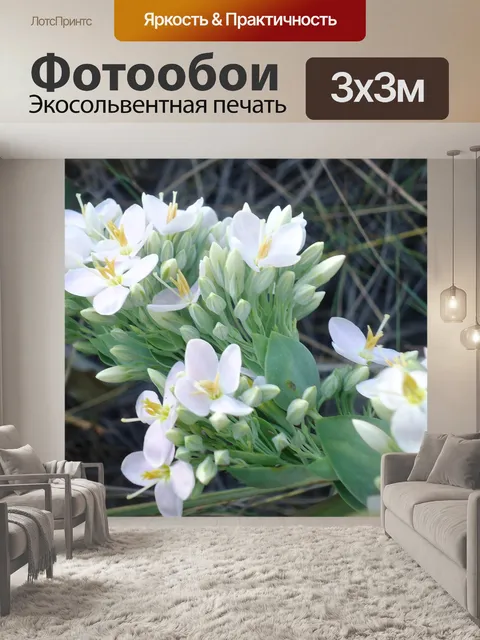 Фотообои Цветы