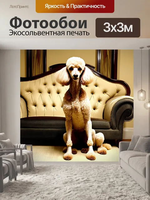 Фотообои пудель, сидящий на винтажном диване, изысканная и укомплектованная мебель в стиле ар-деко