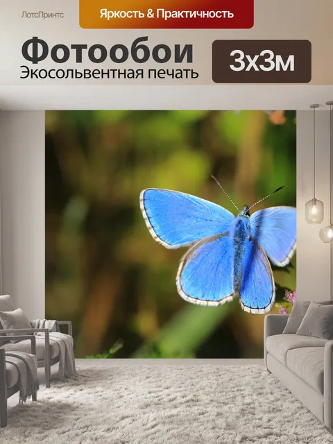 Фотообои Бабочка