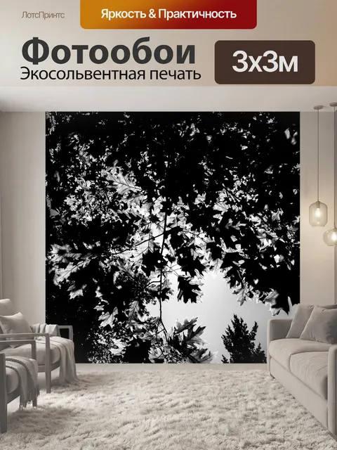 Фотообои Деревья