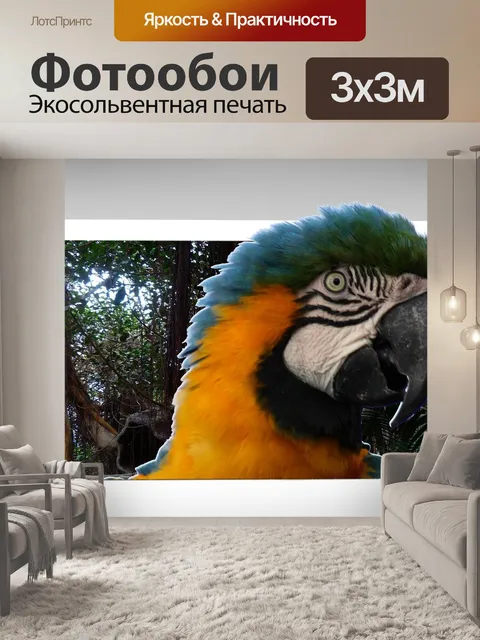 Фотообои Попугай