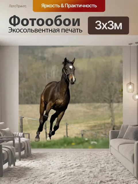 Фотообои Лошадь