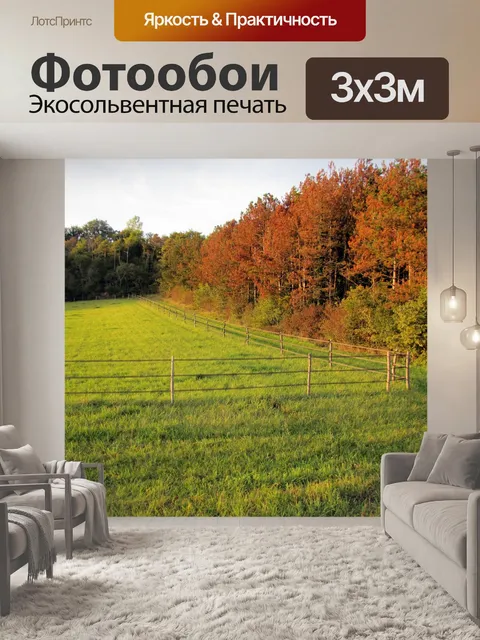 Фотообои Поля