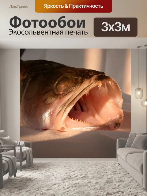 Фотообои Рыба