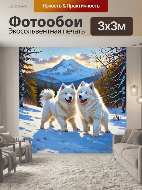 Фотообои два самоеда, играющих на заснеженной поляне, где их шерсть сверкает на солнце