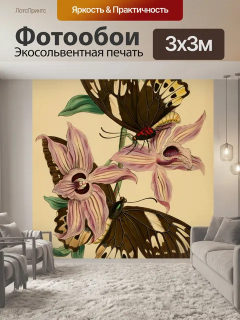 Фотообои Бабочки Винтажное Искусство