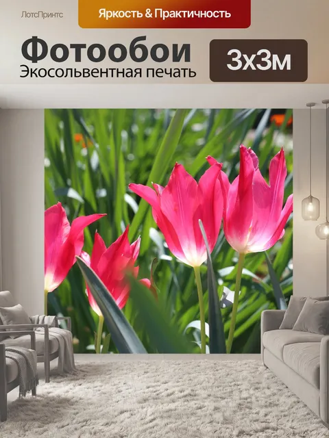 Фотообои Пурпурный