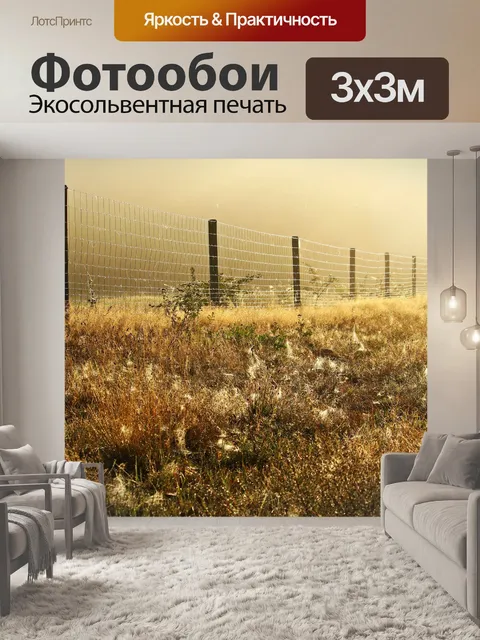 Фотообои Дорожка