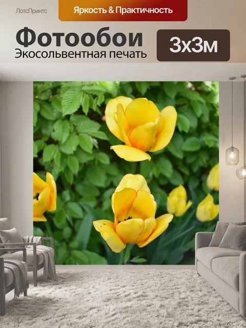Фотообои Тюльпаны