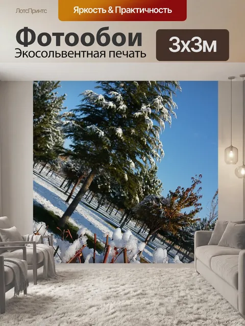 Фотообои Дерево