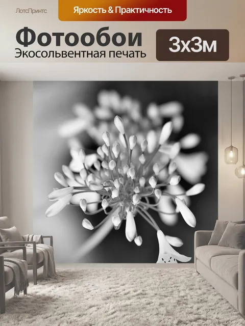 Фотообои Черно-белый