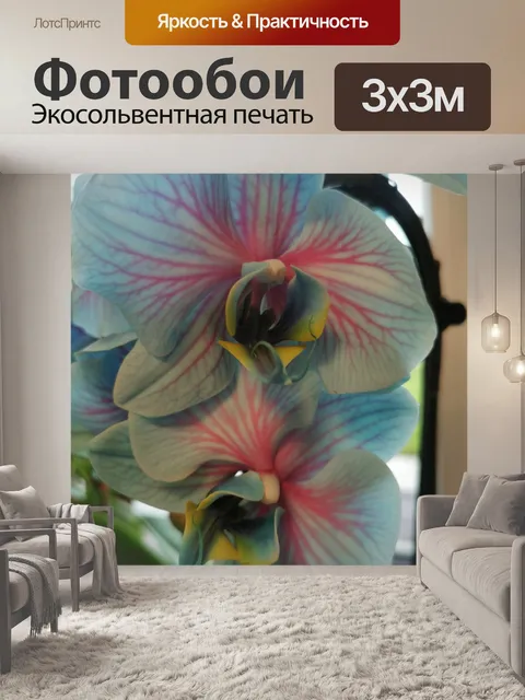 Фотообои Цветы