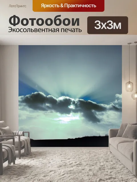 Фотообои Деревья без листьев