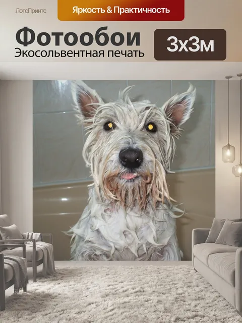 Фотообои Собака