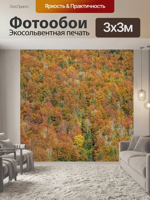 Фотообои Лес