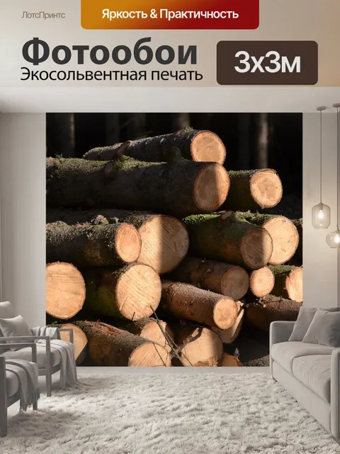 Фотообои Лес