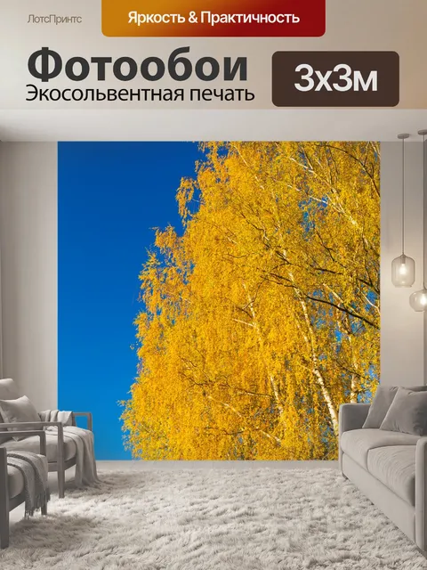 Фотообои Береза ​​осенью
