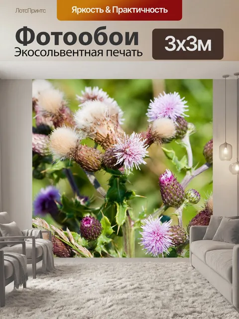 Фотообои Thistle цветов