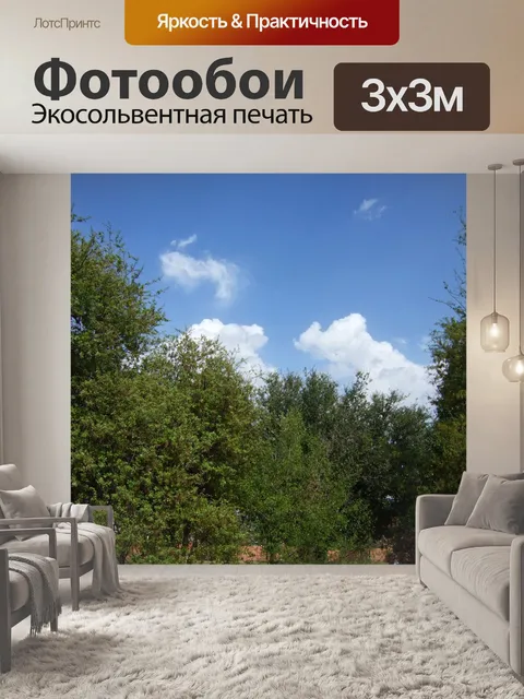 Фотообои After The Storm