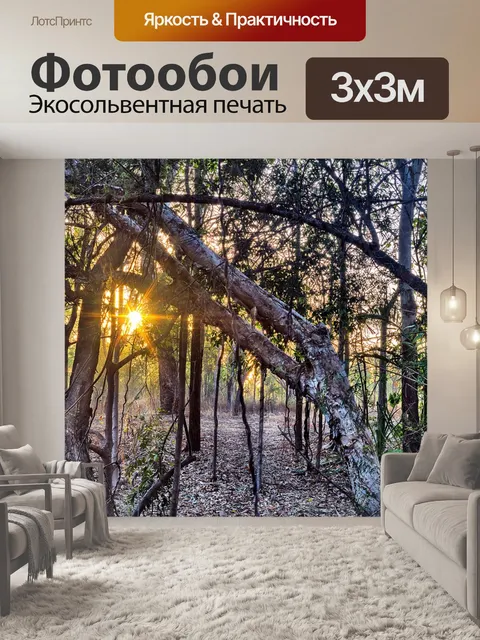 Фотообои Тропический лес