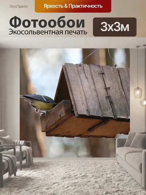 Фотообои Птица