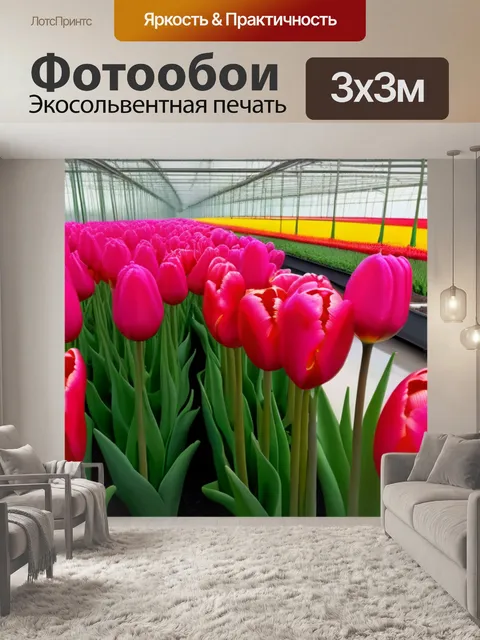 Фотообои роскошные тюльпаны в оранжерее