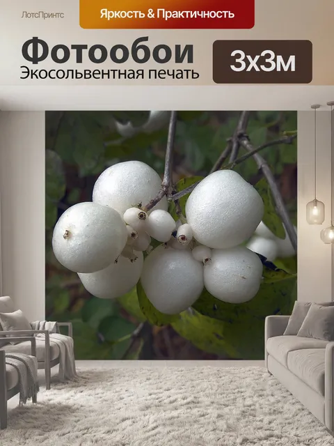 Фотообои Снег берри