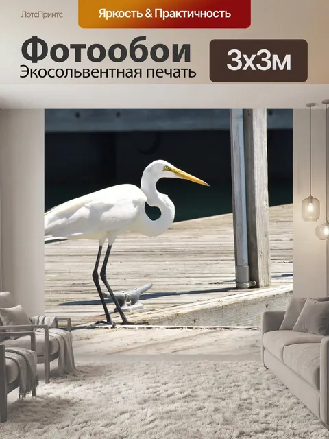 Фотообои Птица