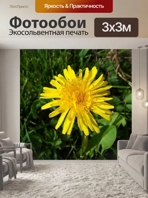 Фотообои Трава