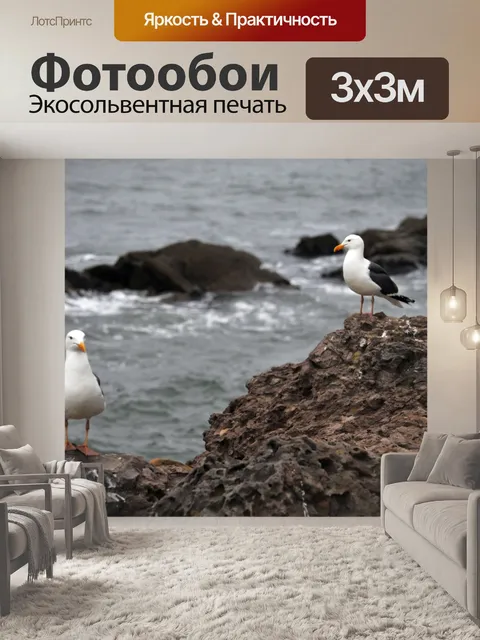 Фотообои Две чайки на скалах