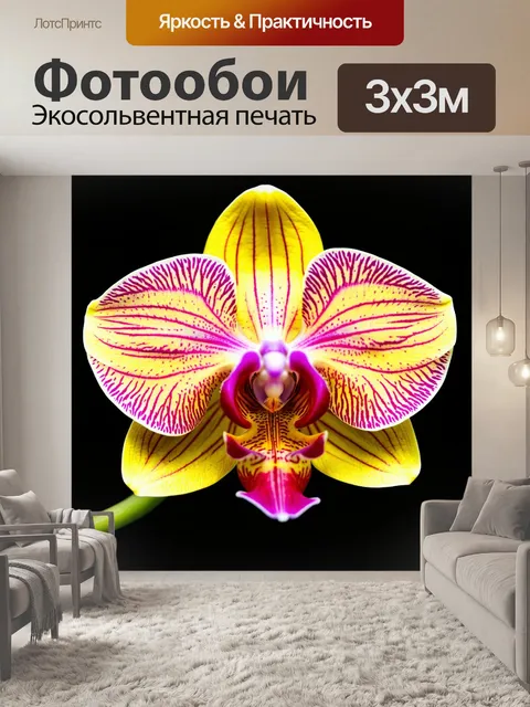 Фотообои орхидея с градиентом цветов, переход от желтого к красному
