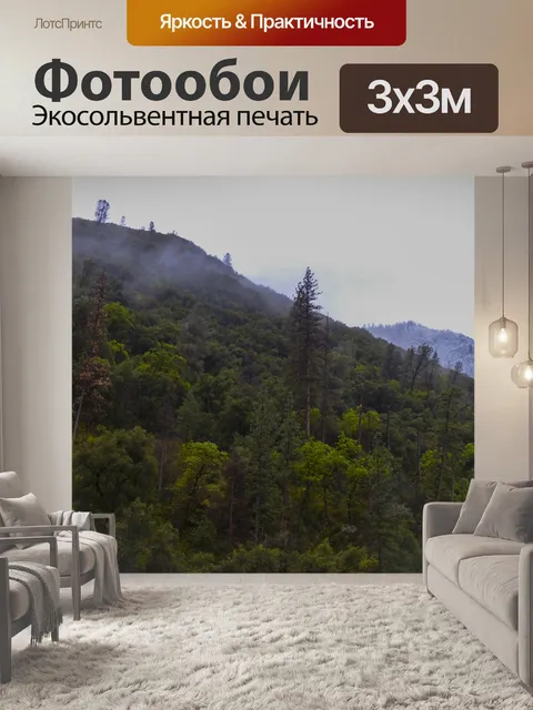 Фотообои Горный склон Йосемиты