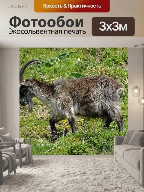 Фотообои Выпас горных коз