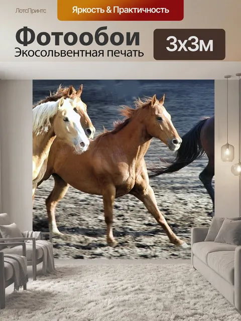 Фотообои Лошадь