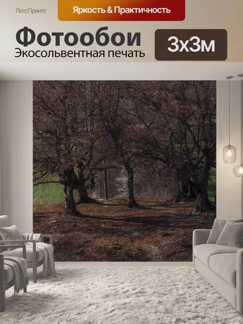Фотообои Деревья