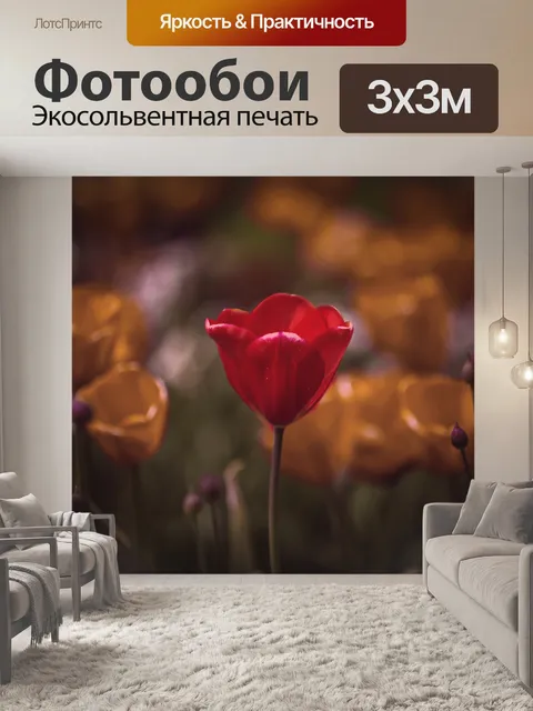 Фотообои Цветы