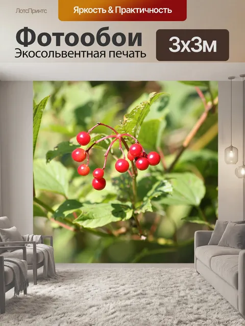Фотообои Лист