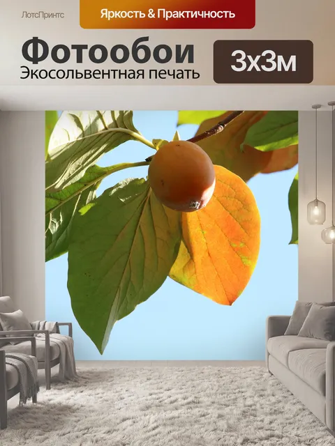 Фотообои Хурма