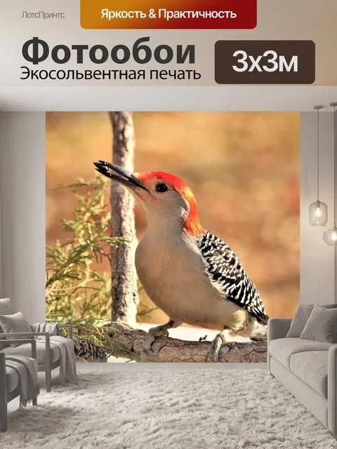 Фотообои Рыжий дятел осенью 2