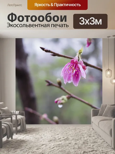 Фотообои Дождь