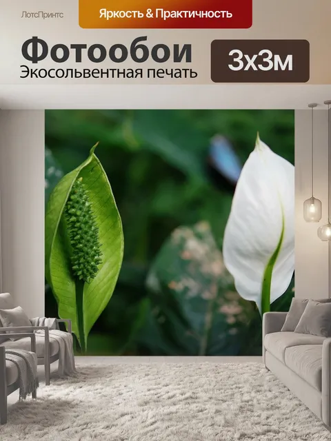 Фотообои Лист