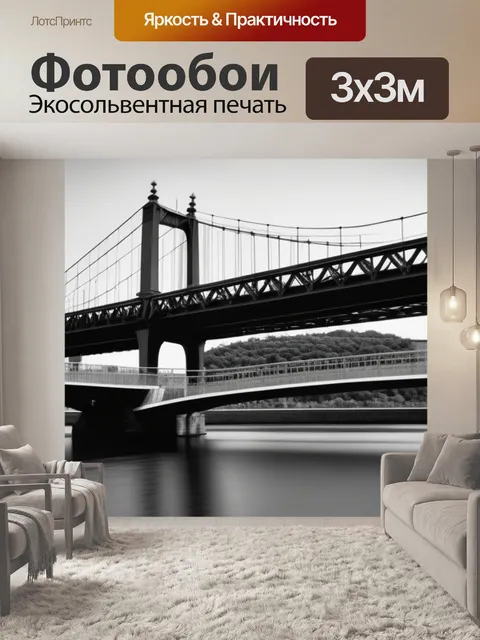 Фотообои городской пейзаж с мостами чернобелый