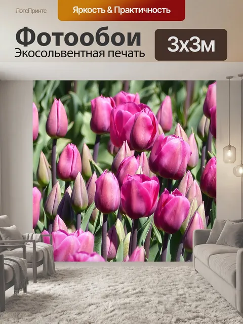 Фотообои Тюльпаны